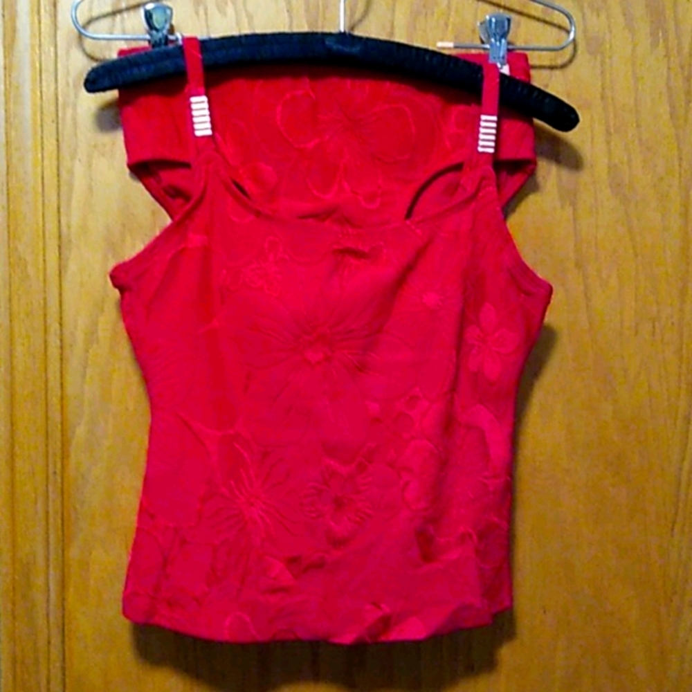 Sirena Tankini 2 Piece bathing suit